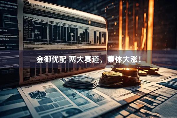 金御优配 两大赛道，集体大涨！