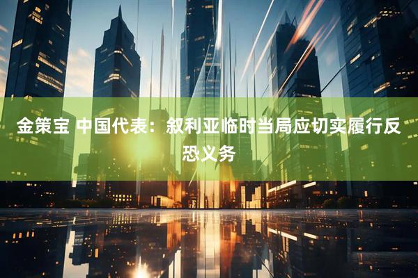 金策宝 中国代表：叙利亚临时当局应切实履行反恐义务