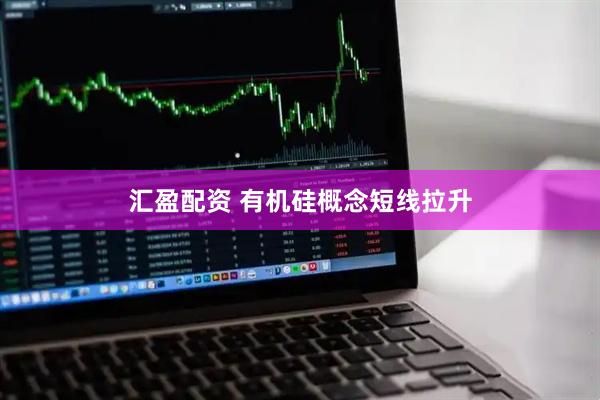 汇盈配资 有机硅概念短线拉升